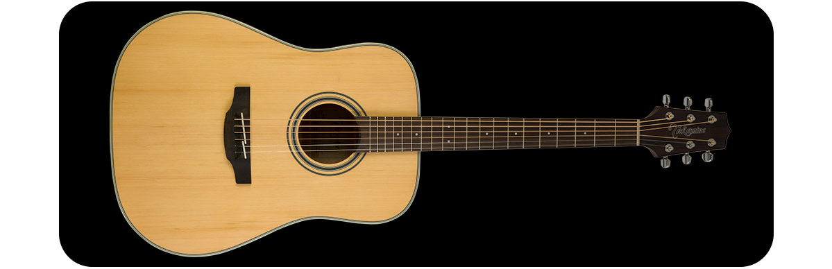 Takamine gd20 Natural