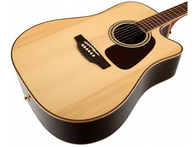 Takamine - GD93CE