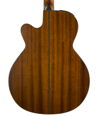TAKAMINE GN10CE NS