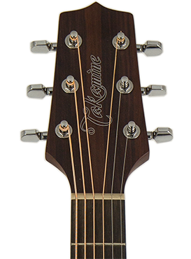 TAKAMINE GN10CE NS