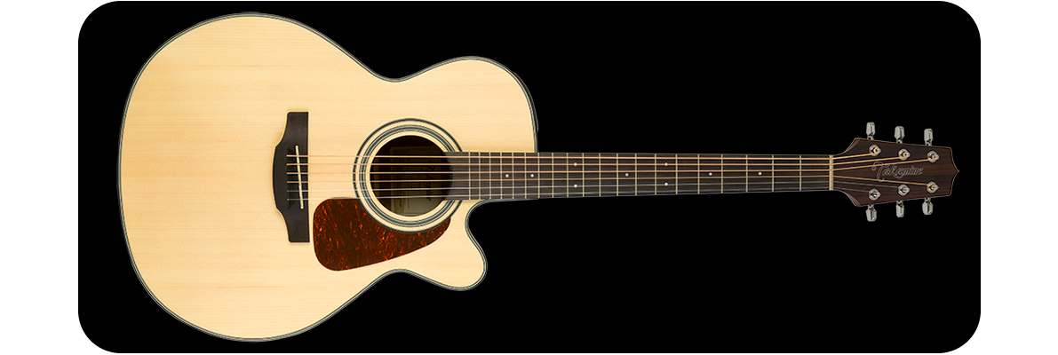 TAKAMINE GN10CE NS