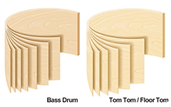 All Maple Shells