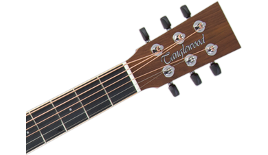 Tanglewood DBT SFCE PW