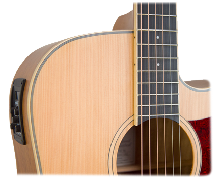 Tanglewood - 'TW10E'