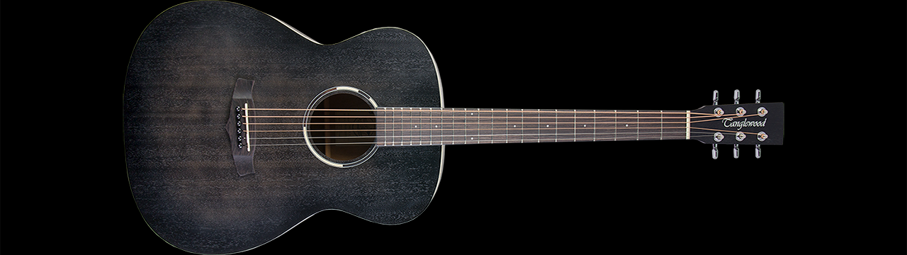 tanglewood blackbird series electro acoustic
