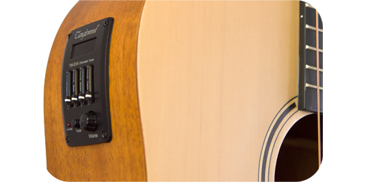 Tanglewood TW-EX4