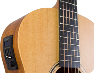 tanglewood twr2 pe
