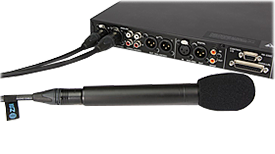 XLR, RCA, AES/EBU, SPDIF