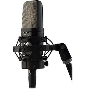 Warm Audio WA-14