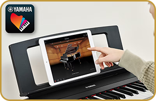 Yamaha NP-35 Piaggero