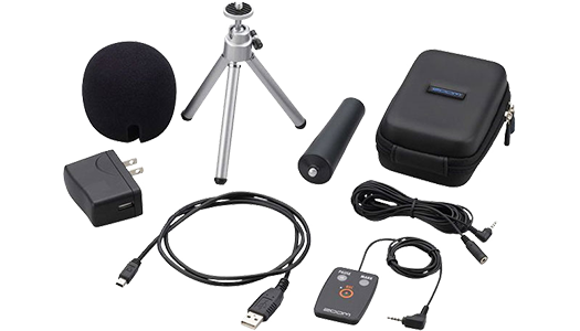 zoom APH-2n