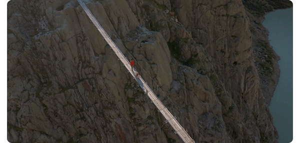 a person and their dog walking across a long rope bridge across a river
