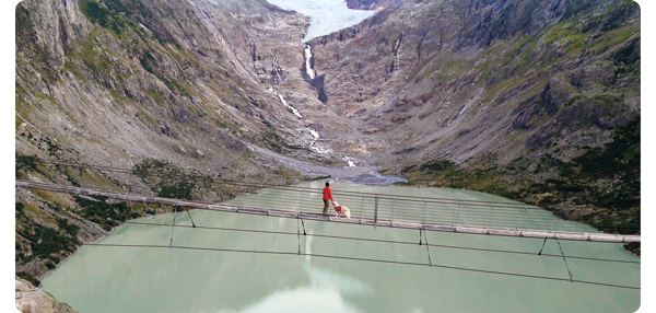 woman and her dog stood on a rope bridge over a glacial river