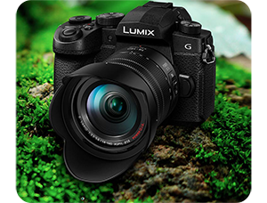 Panasonic Lumix Camera with 14-140mm Lens