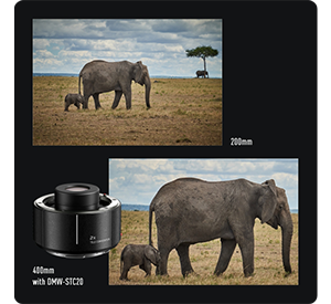 lumix s pro 70-200mm lens sample images of elephant with a calf walking a grass plain at 20mm focal length and 400mm with a teleconverter