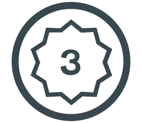3 in Star button circle icon