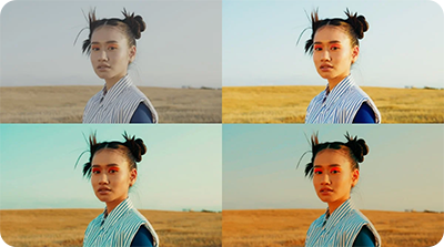 ninja tx luts