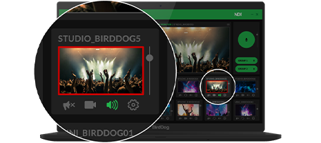 BirdDog Comms Pro