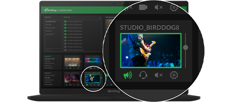 BirdDog Comms Pro