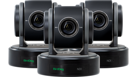 BirdDog P100 Full NDI Camera Black