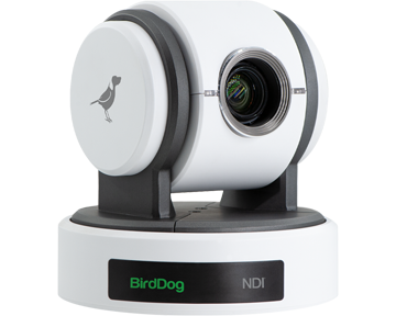BirdDog P100 Full NDI Camera White