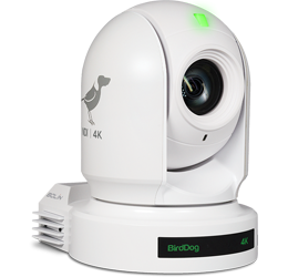 Birddog P400 White