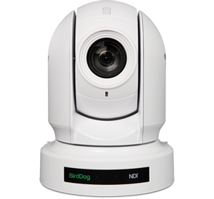 Birddog P400 White