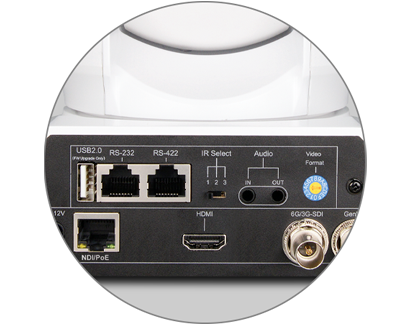 Birddog P400 White
