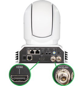 Birddog P400 White