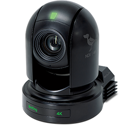 Birddog P400 Black