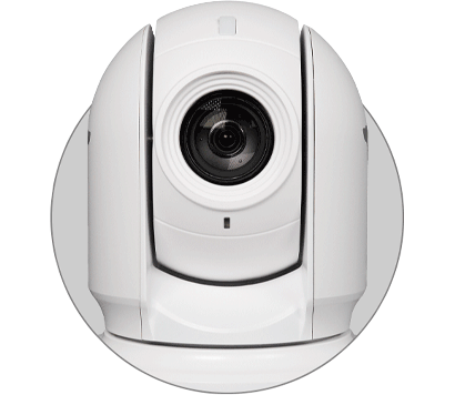 Birddog P400 White