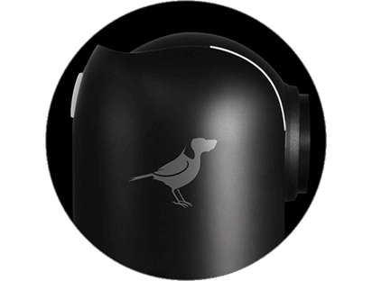 BirdDog P4K Full NDI Camera
