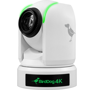 BirdDog P4K Full NDI Camera