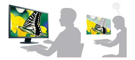 illustration of Eizo CS2740 non glare coating comparing images of butterfly vs normal display
