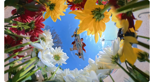 360 degree photo of skateboarder performing tricks over ring of flowers