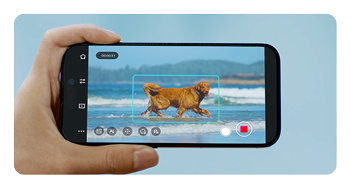 OBSBOT Tail 2 AI-powered camera tracking a dog on the beach