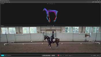 OptiTrack Motive Software window showing motion tracking footage of horse and rider galloping