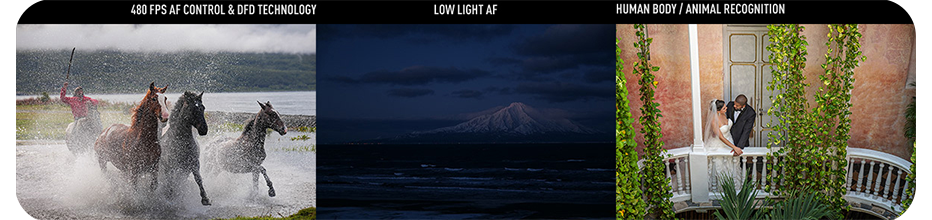 LUMIX S1 Sample images
