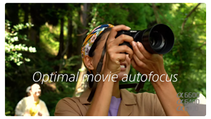 Photographer using Sony a6600 to capture images in dense woodland area with text 'optimal movie autofocus'
