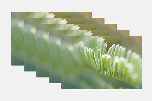 Sony Alpha 6700 ficus braketing example