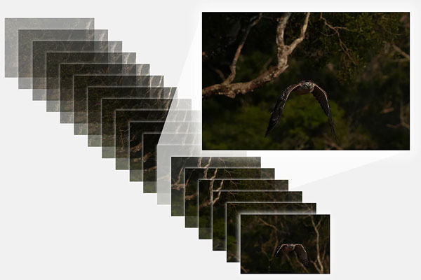 Sony Alpha 6700 image gallery