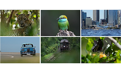 Sony Alpha 6700 subject recognition samples