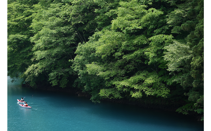 Sony FE 100-400mm G Master Lens sample image of two kayakers paddeling along a wide bright blue river with lucious dense tree cover