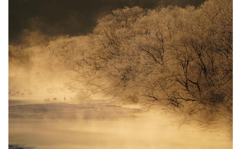 Sony FE 100-400mm G Master Lens sample photograph of foggy frozen landscape lined with white bare trees
