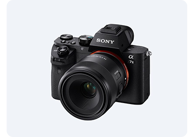 Sony FE 50mm F2.2 Macro Lens mounted on Sony A7II CAmera