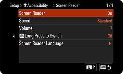 Sony FX2 accessibility settings