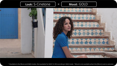 sample image showing vlog settings taken with the sony zv e10 ii