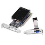 256MB PNY 8400 GS Card