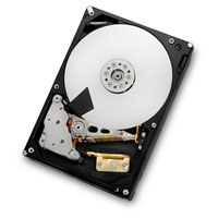 4TB Hitachi 0S03363 Deskstar 5K4000, 
              3.5" HDD, SATA III - 6Gb/s, 7200rpm, 32MB, 8ms, OEM 