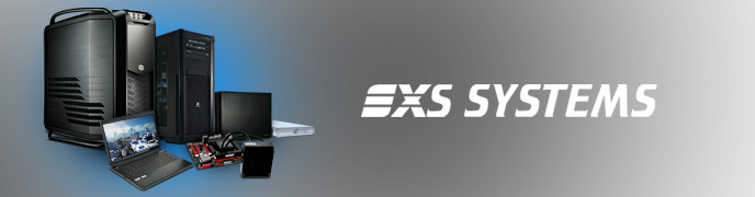 3XS